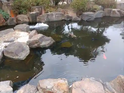 誕生寺(千葉県)