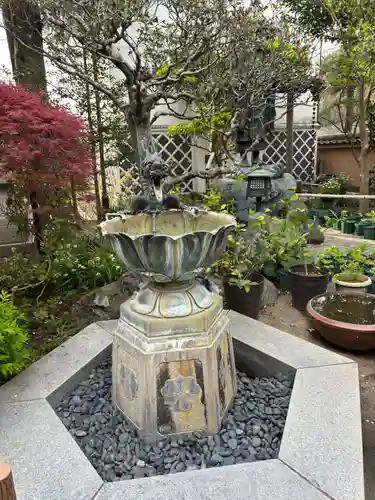 成就院の手水舎