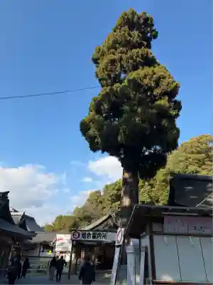 大神神社(奈良県)