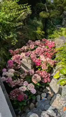 岡寺(龍蓋寺)(奈良県)