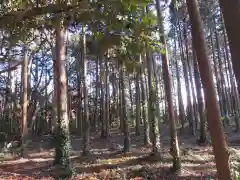 戸隠神社の自然