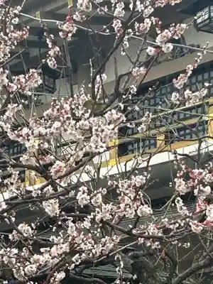 湯島天満宮(東京都)