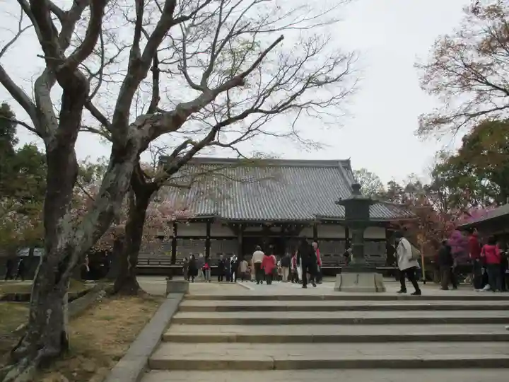 仁和寺の本殿・本堂