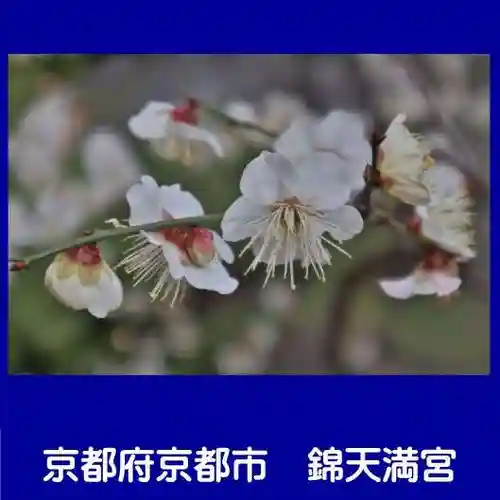 錦天満宮(京都府)