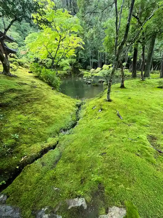 西芳寺(京都府)