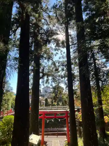 須山浅間神社の鳥居