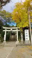 日吉神社の鳥居