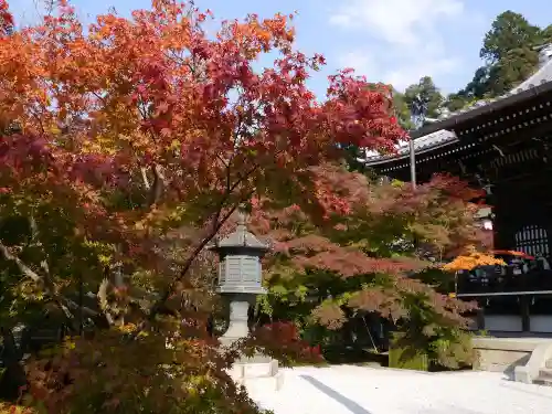 禅林寺（永観堂）の自然