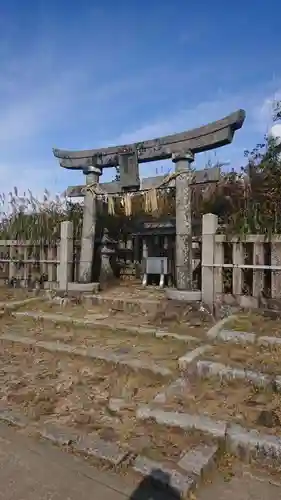 彌彦神社奥宮（御神廟）の鳥居