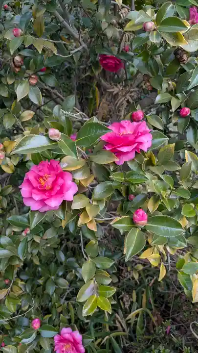 浄安寺(京都府)