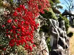 瑠璃寺(長野県)