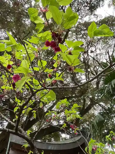 上地八幡宮(愛知県)