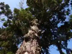 極楽寺(徳島県)