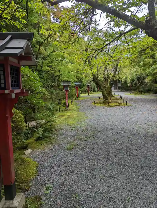 常照寺(京都府)