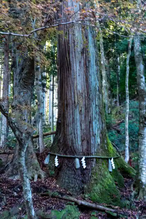 貴船神社奥宮(京都府)