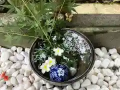 小倉八幡神社の手水