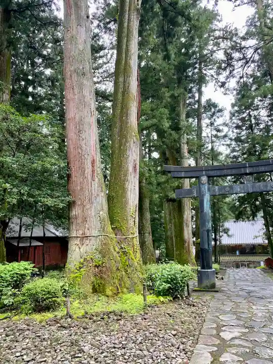日光東照宮御仮殿の鳥居
