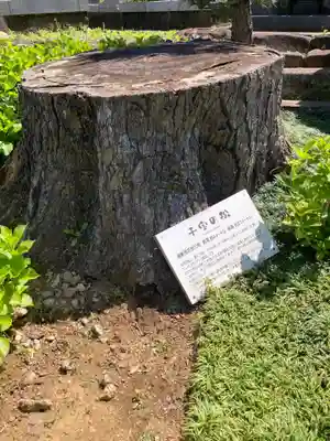 誓欣院(静岡県)