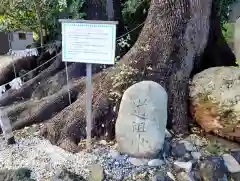 開運招福 飯玉神社(群馬県)