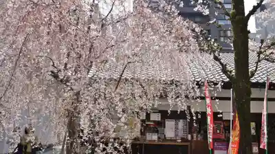 頂法寺（六角堂）のその他建物