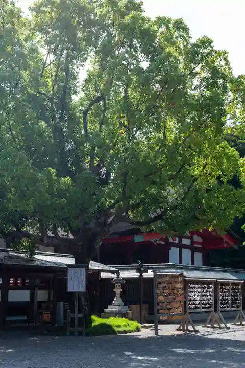 宗像大社(福岡県)