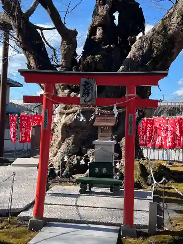 秩父今宮神社(埼玉県)