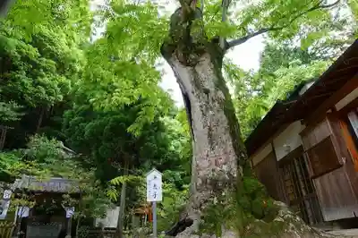 葛城一言主神社のその他建物