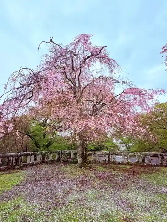 吉野神宮の{uncategorized: "未分類", other: "その他", undefined: "問題あり", building: "その他建物", grave: "お墓", sacred_gate: "鳥居", guardian: "狛犬", statue: "像", buddha: "仏像", history: "歴史", nature: "自然", garden: "庭園", animal: "動物", pagoda: "塔", temizu: "手水舎", mountain_gate: "山門・神門", sanctuary: "本殿・本堂", subordinate: "末社・摂社", art: "芸術", scenery: "景色", jizo: "地蔵", ema: "絵馬", goshuin: "御朱印", omikuji: "おみくじ", items: "授与品その他", amulet: "お守り", goshuincho: "御朱印帳", eats: "食事", festival: "お祭り", votive_dance: "神楽", shichigosan: "七五三参", wedding: "結婚式", experience: "体験その他", initially: "初詣", around: "周辺", anti_infection: "感染症対策"}