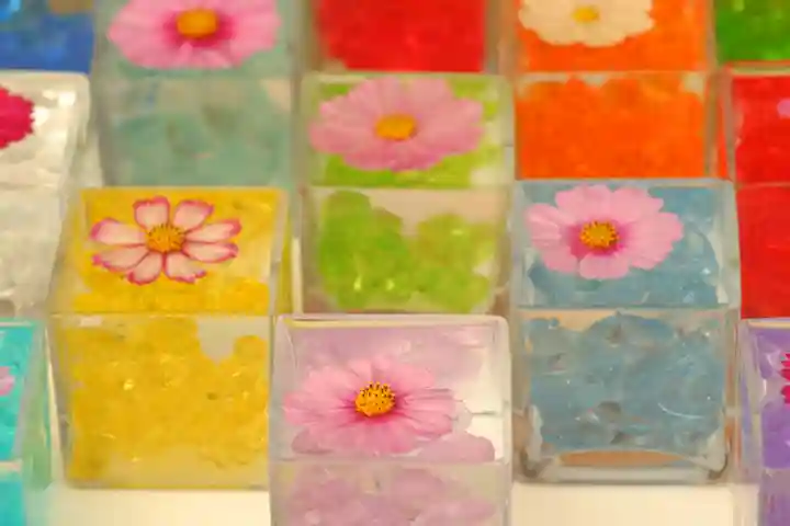 般若寺 ❁コスモス寺❁(奈良県)