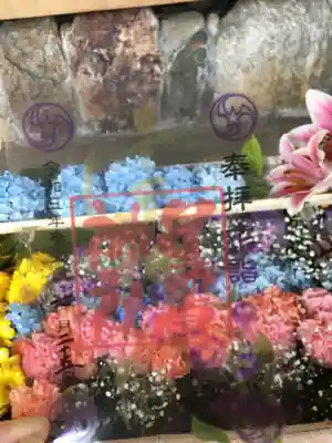 指が写っているのは愛嬌で😂