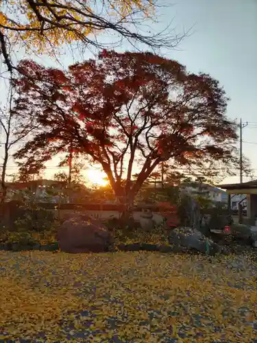 宗禅寺の庭園