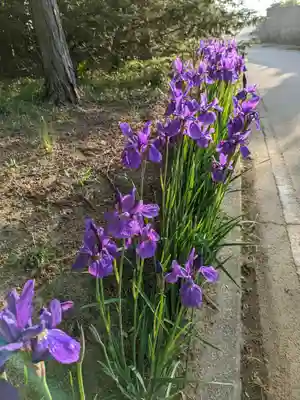 伏木香取神社(茨城県)