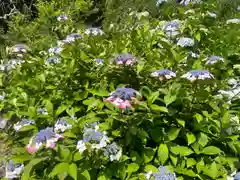 龍尾神社(静岡県)