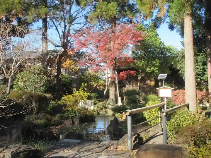 善導寺(群馬県)