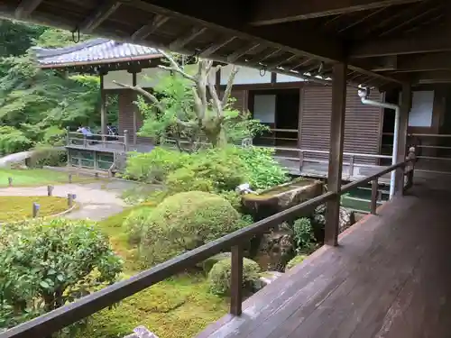 青蓮院門跡の庭園