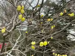 長谷寺の自然