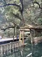 鹿島神宮(茨城県)