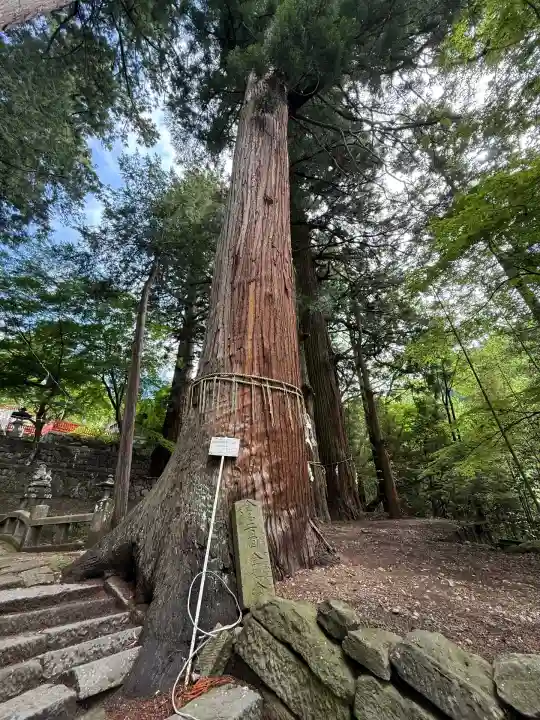 金櫻神社(山梨県)