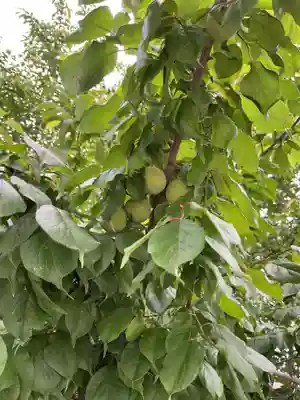 上野天満宮(愛知県)