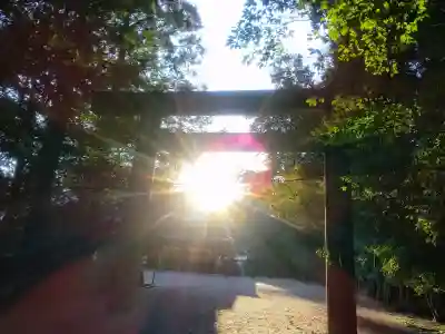 伊勢神宮内宮（皇大神宮）の{uncategorized: "未分類", other: "その他", undefined: "問題あり", building: "その他建物", grave: "お墓", sacred_gate: "鳥居", guardian: "狛犬", statue: "像", buddha: "仏像", history: "歴史", nature: "自然", garden: "庭園", animal: "動物", pagoda: "塔", temizu: "手水舎", mountain_gate: "山門・神門", sanctuary: "本殿・本堂", subordinate: "末社・摂社", art: "芸術", scenery: "景色", jizo: "地蔵", ema: "絵馬", goshuin: "御朱印", omikuji: "おみくじ", items: "授与品その他", amulet: "お守り", goshuincho: "御朱印帳", eats: "食事", festival: "お祭り", votive_dance: "神楽", shichigosan: "七五三参", wedding: "結婚式", experience: "体験その他", initially: "初詣", around: "周辺", anti_infection: "感染症対策"}