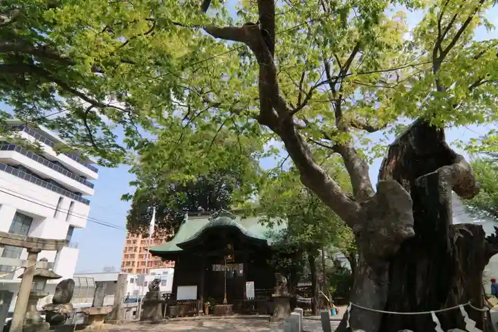 阿邪訶根神社の本殿・本堂