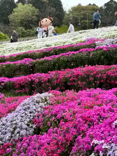 若杉稲荷大明神(兵庫県)