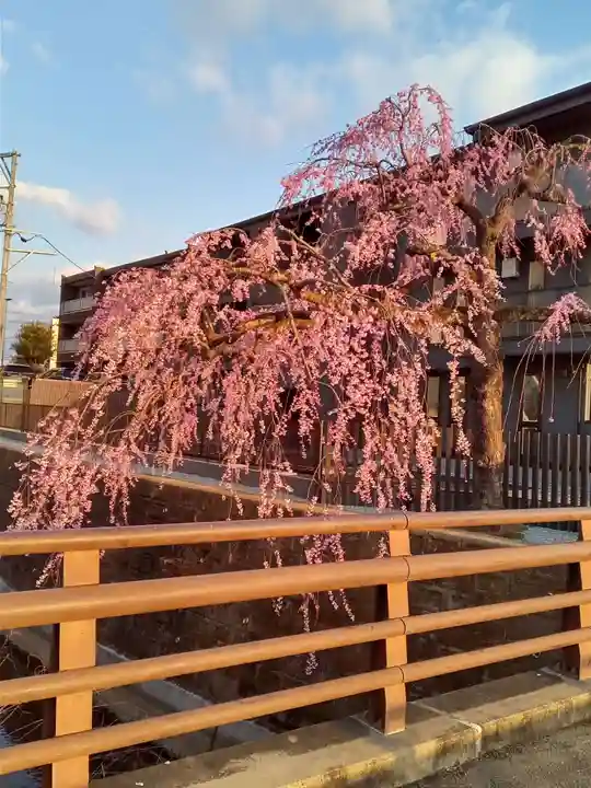 泰心院(宮城県)
