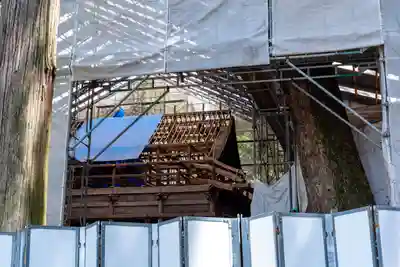 諏訪大社(長野県)