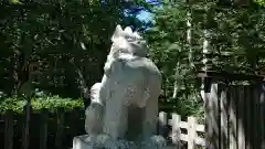 穂高神社奥宮の狛犬