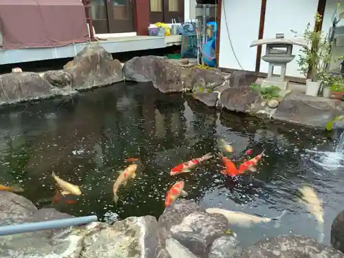 上行寺(山梨県)