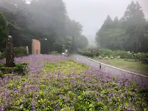 雲辺寺の建物その他