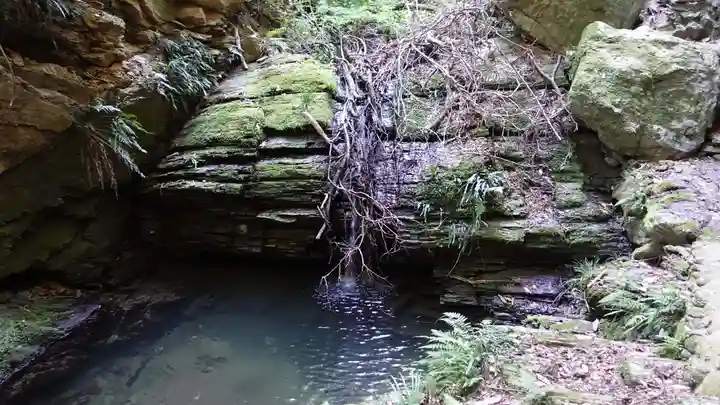 藤井寺(徳島県)