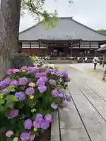 能護寺(埼玉県)