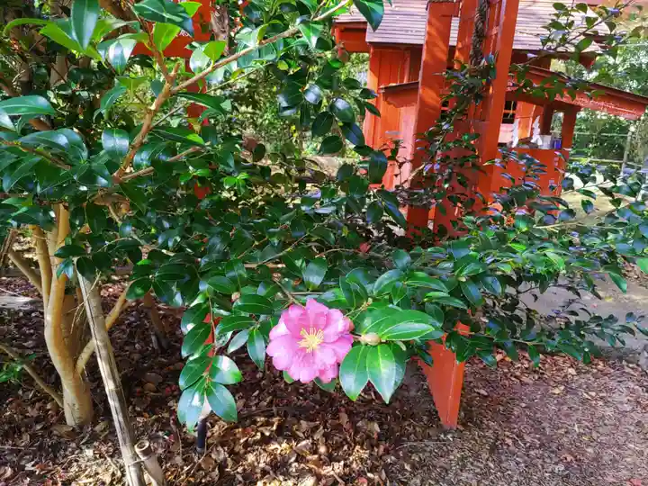 神炊館神社 ⁂奥州須賀川総鎮守⁂(福島県)